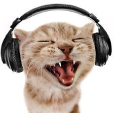 Jasper's Music Comms!